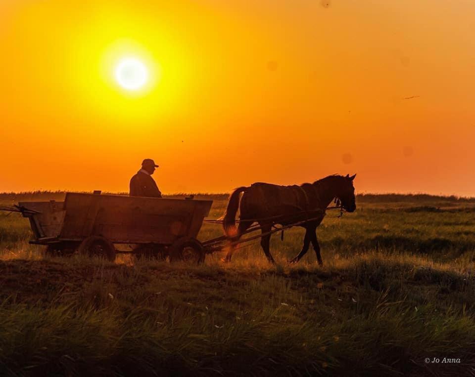 Готель Pensiunea Fabian Журіловка Екстер'єр фото